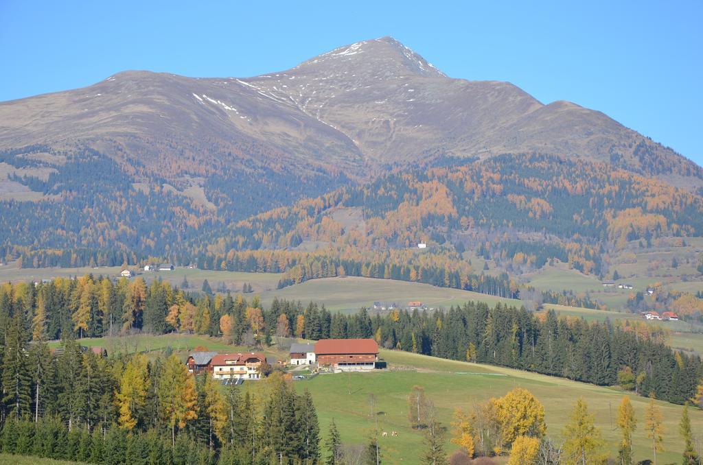 Ferienwohnung Familie Sigl - Rotlechner Sankt Peter am Kammersberg Esterno foto